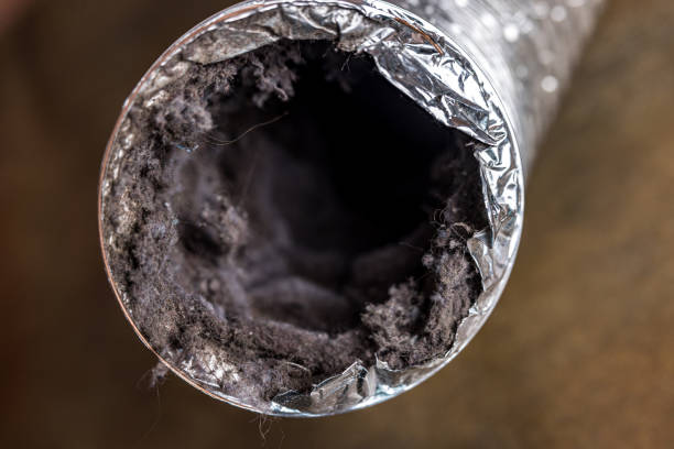Best Air Vent Cleaning Services  in Willow Creek, CA