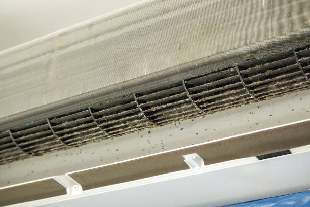 Best Professional Duct Cleaning Services  in Willow Creek, CA